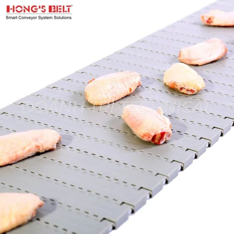 BĂNG TẢI NHỰA HONGSBELT