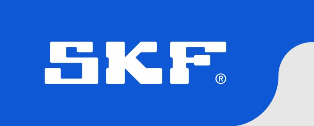Vòng bi bạc đạn SKF chính hãng