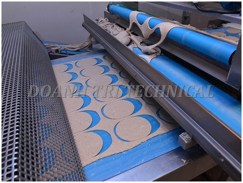 BĂNG TẢI AMMERAAL BELTECH