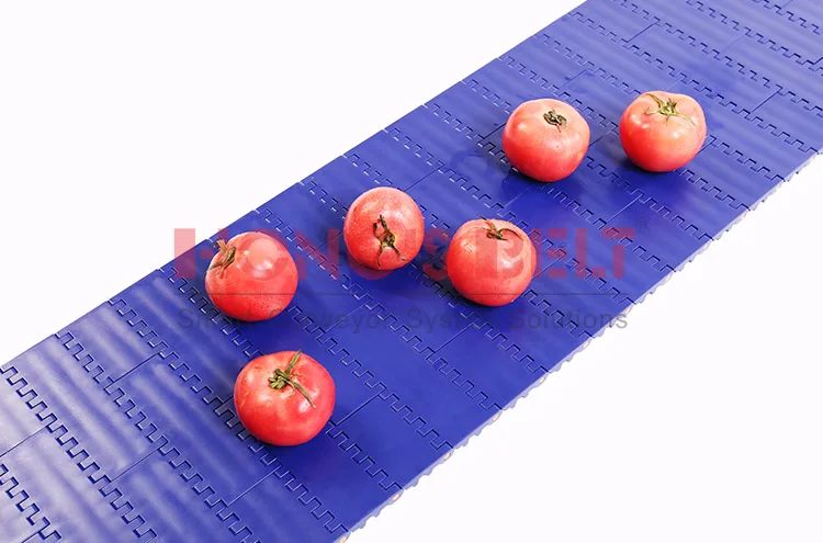 BĂNG TẢI HONGS BELT HS-100A