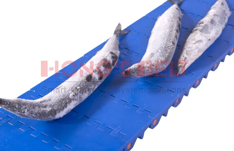 BĂNG TẢI HONGS BELT HS-100A-HD