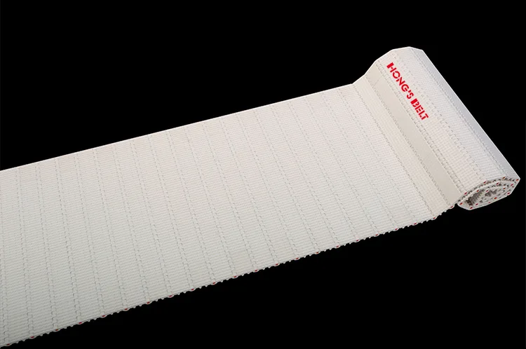 BĂNG TẢI HONGS BELT HS-100AN