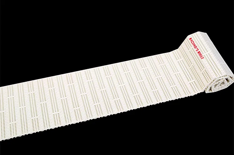 BĂNG TẢI HONGS BELT HS-100B