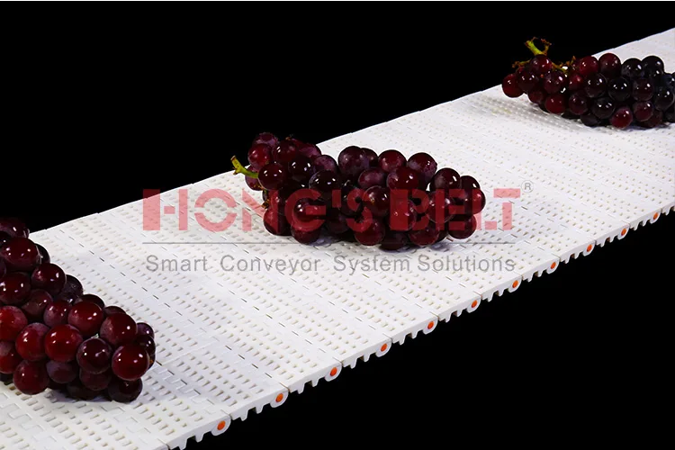 BĂNG TẢI HONGS BELT HS-100B