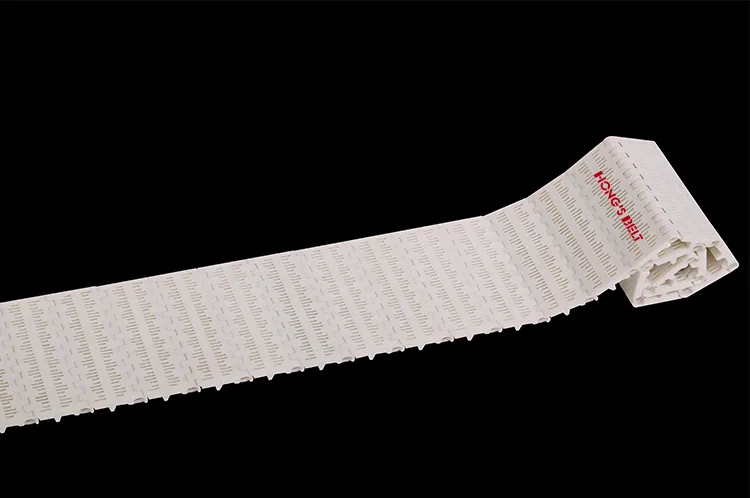 BĂNG TẢI HONGS BELT HS-100B-HD