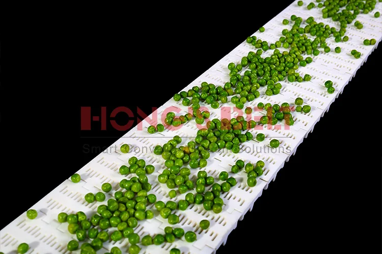 BĂNG TẢI HONGS BELT HS-100B-HD