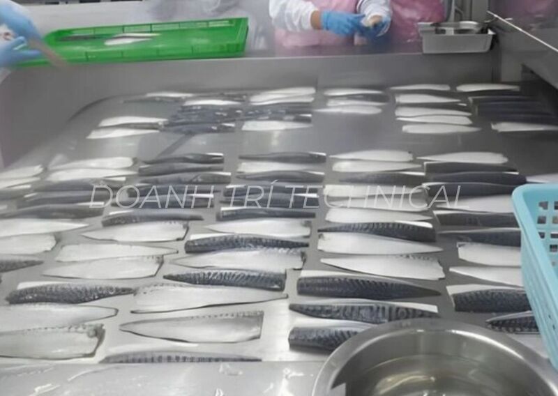 BĂNG TẢI IQF TẤM PHẲNG