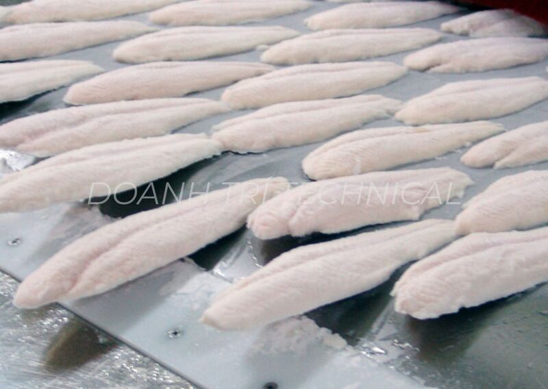 BĂNG TẢI IQF TẤM PHẲNG