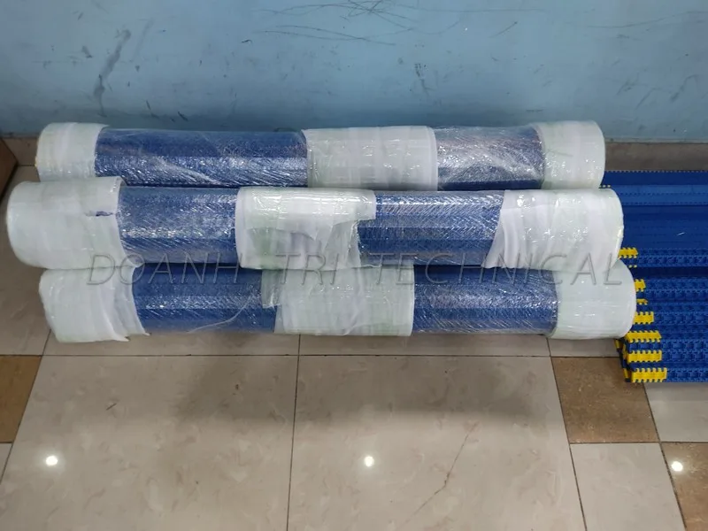 BĂNG TẢI NHỰA BAO BÌ CARTON