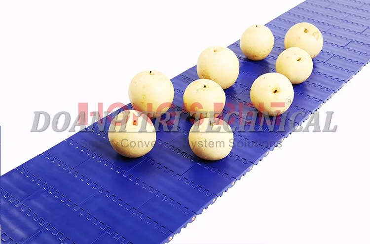 BĂNG TẢI NHỰA HONGSBELT HS-100 SERIES