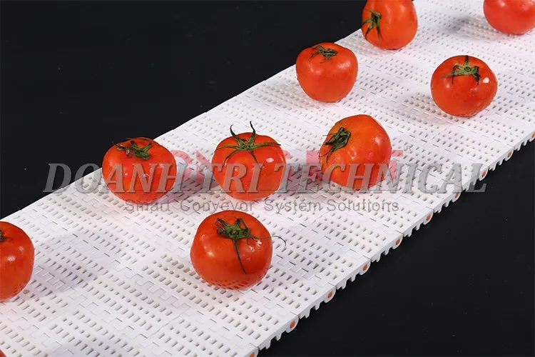 BĂNG TẢI NHỰA HONGSBELT HS-100 SERIES