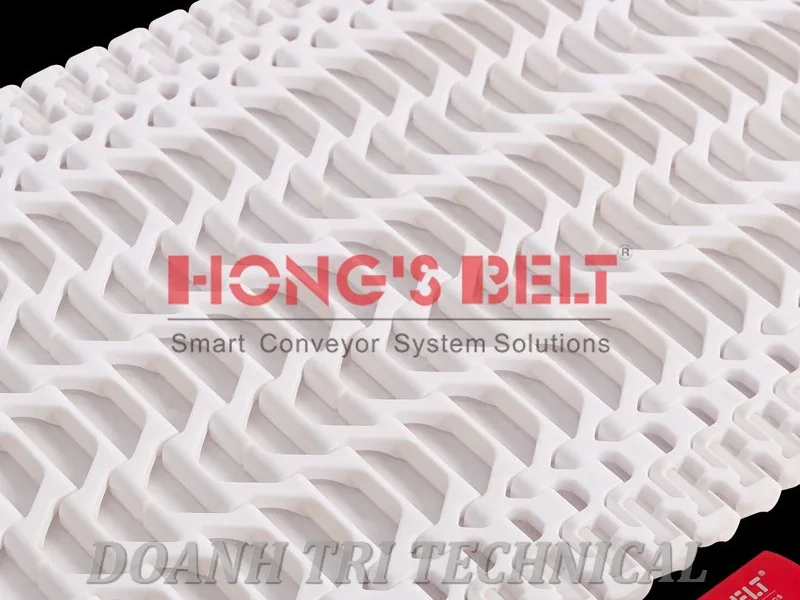BĂNG TẢI NHỰA HONGSBELT PITCH 5MM - PITCH 15.2MM