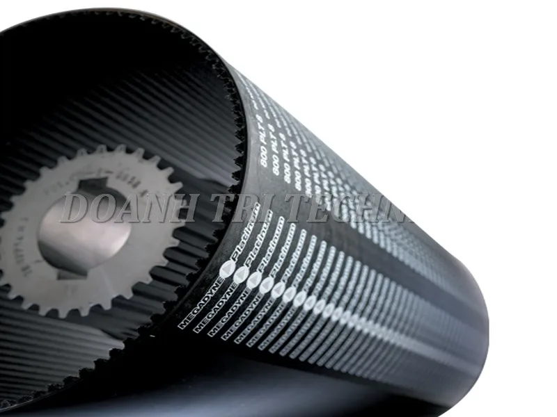 DÂY CUROA MEGADYNE PLATINUM 8M 14M