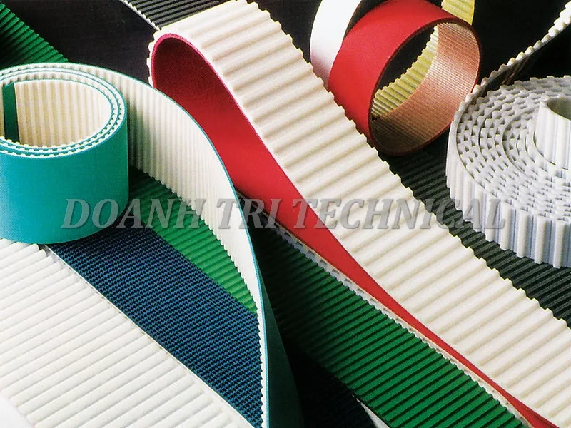 PHÂN BIỆT XÁC ĐỊNH CÁC LOẠI DÂY CUROA