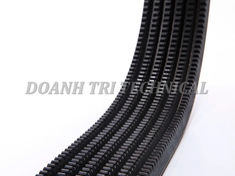 PHÂN BIỆT XÁC ĐỊNH CÁC LOẠI DÂY CUROA