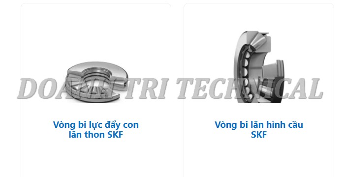 Vòng bi bạc đạn SKF chính hãng